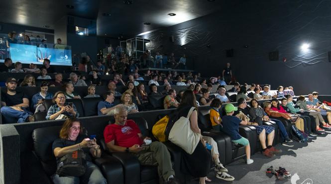 cactus hotel este castigatorul celei de a doua editii a lynx festival peste 2 000 de spectatori proiectii sold out si dezbateri memorabile in cele 6 zile de festival