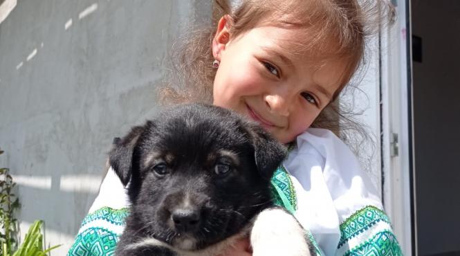 strigatul disperat al unei mame din judetul suceava ajutati ma sa mi operez fetita micuta stefania are nevoie urgent de o interventie chirurgicala pe cord