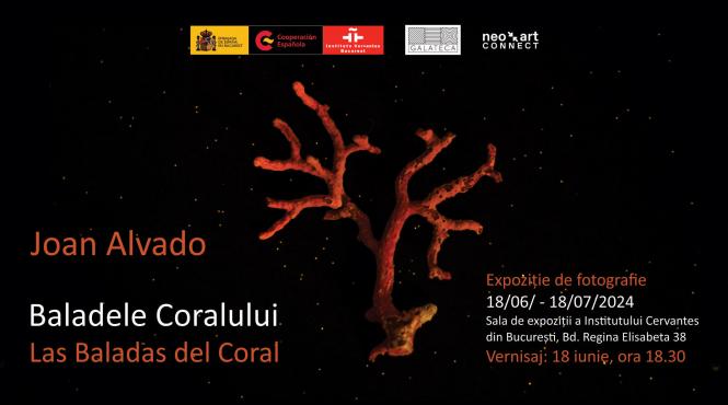 vernisaj baladele coralului las baladas del coral expozitie de eseu fotografic la institutul cervantes din bucuresti