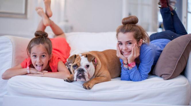 cainele cel mai bun prieten copil rase rabdatoare afectuoase