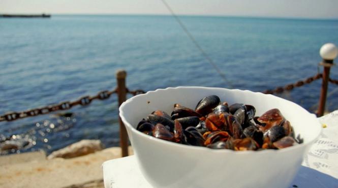 liber pescuit scoici rapane marea neagra