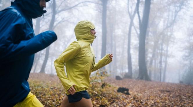 poluanti organici persistenti toxici pfas reduce expunerea