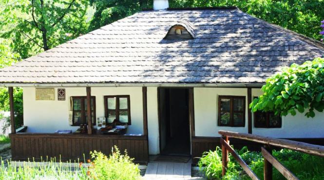 ce inseamna visezi cumperi casa