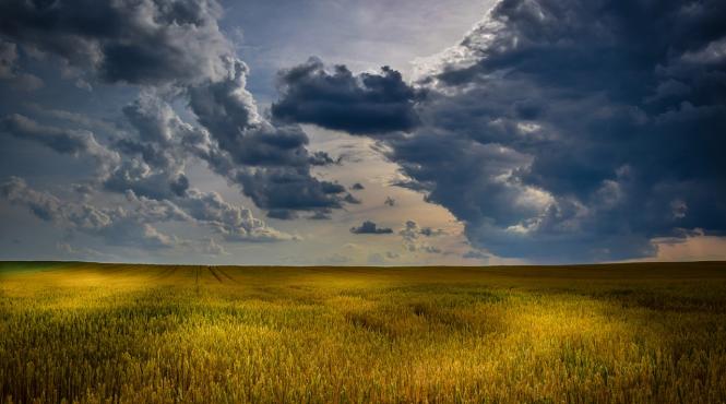 romania monitorizare poluare ecosisteme terestre