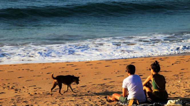 horoscopul zilei duminica 23 iunie 2024