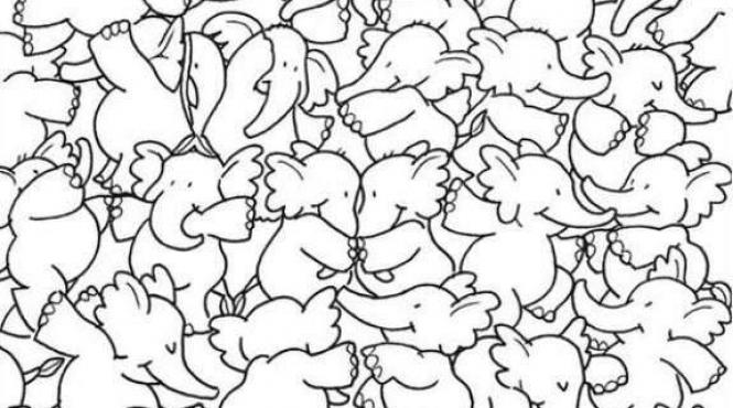 test iq gaseste balena imagine 8 secunde