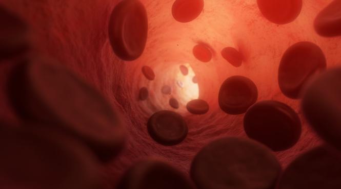 trombocite sintetice viata pacienti hemoragii puternice