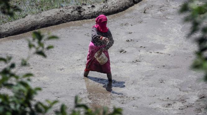 tragedie alunecari teren morti disparuti nepal