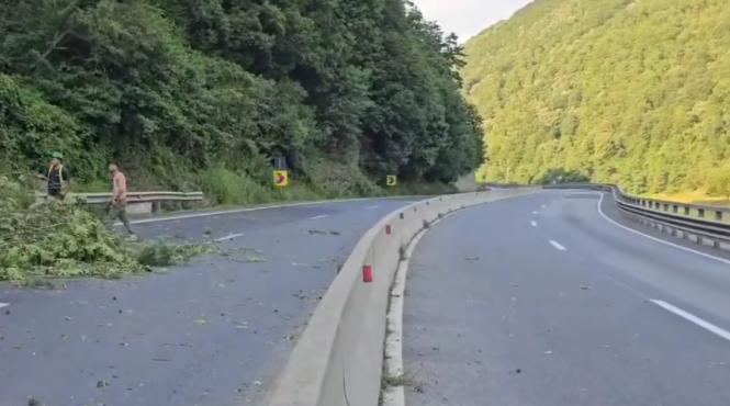 sector boita lazaret dn7 redeschis lucrari reluate miercuri