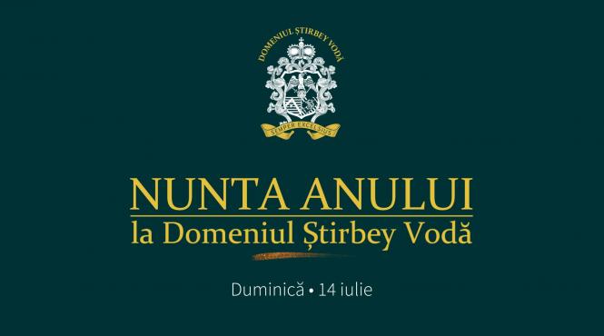 antena transmite in exclusivitate imagini de la nunta lui ianis si a elenei hagi