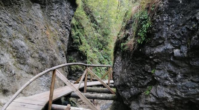 loc romania intineresti