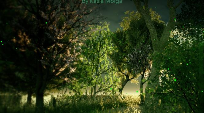 chronicles from in between 495 570 nm o cronica a lumii naturale evanescente la granita dintre arta stiinta si memorie personala