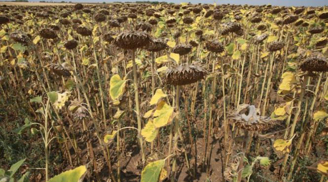 cadastrarea terenurilor agricole intarziata bani irigatii seceta