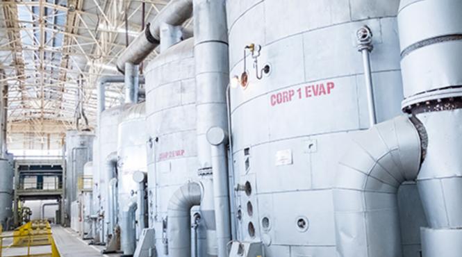 agrana fabrica zahar buzau