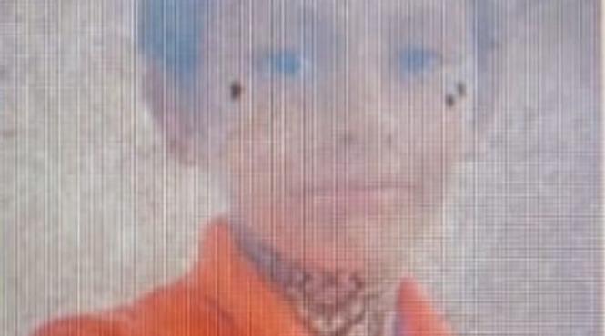 copil plecat politisti