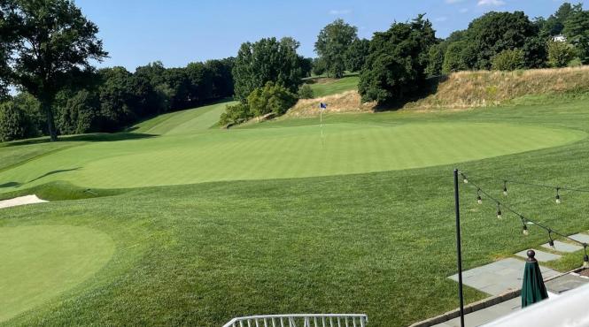 oras greenwich exclusivism taxa restrictii