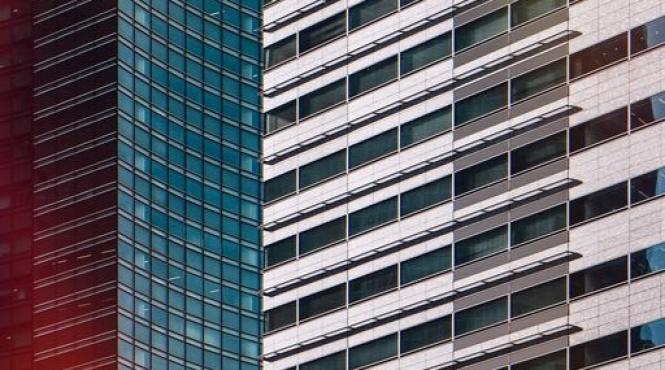 nicusor dan bloc piedone gasca