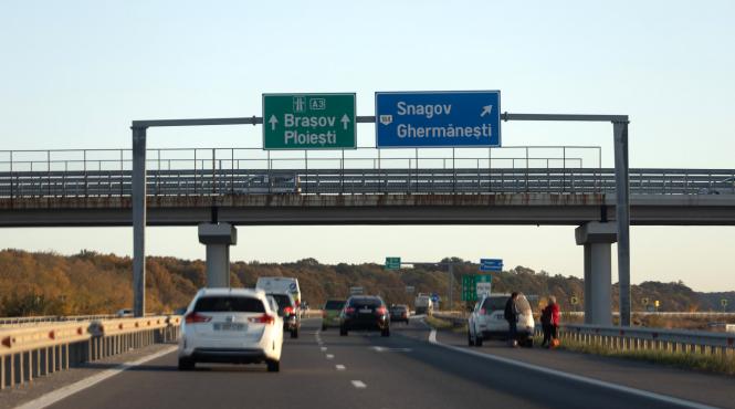 rovinieta cnair pret