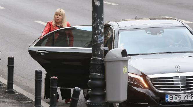 firma elena udrea arenda terenuri