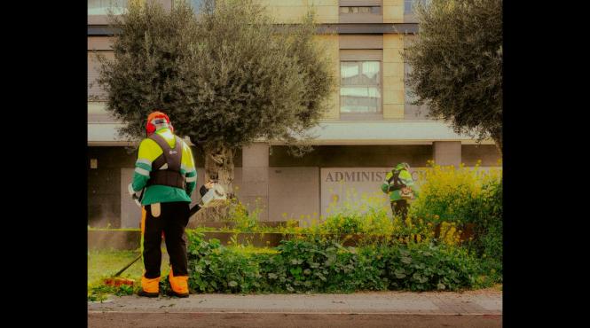 trucuri pentru a prelungi durata de viata a motocoasei tale