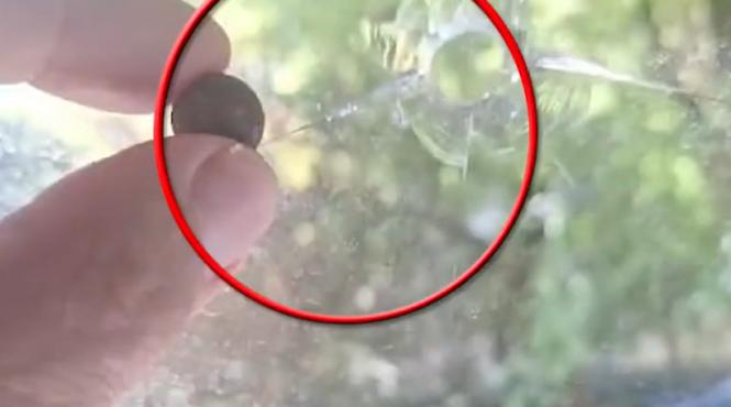 glont amenintari vasile barbu pacienti dezvaluiri spital pantelimon