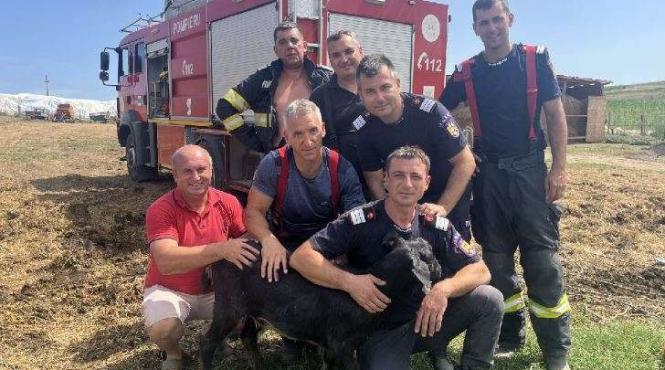 pompierii capra fantana