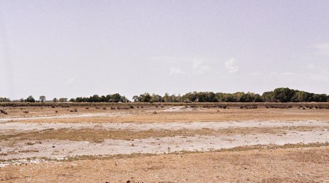 guvern impadurire terenuri degradate