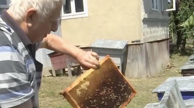 harta longevitatii romania comuna buzau