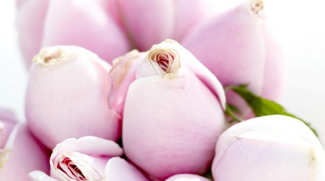 simbolistica flori mesaje emotii oferit buchet