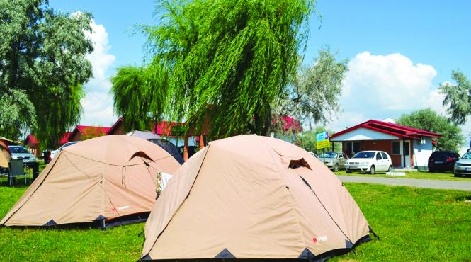 amenzi campare ilegala delta