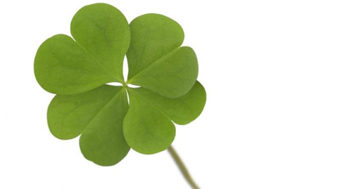 zodii noroscoase 2 septembrie 2024 reusite bucurie dragoste