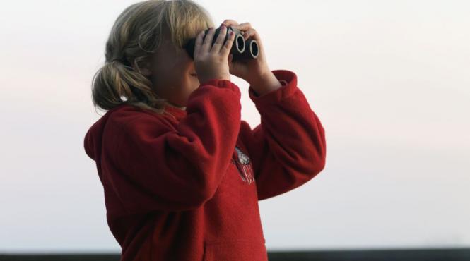 bnoclu sau benoclu vorbeste corect limba romana