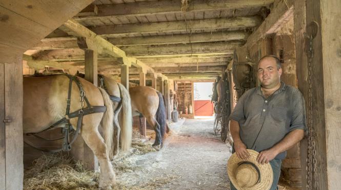 cap uri americane ferme servicii