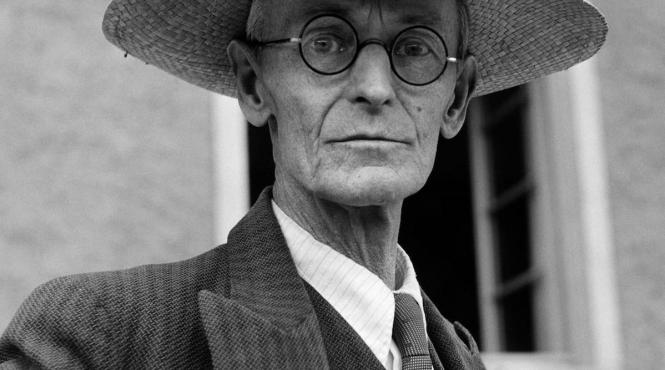 hermann hesse literatura universala