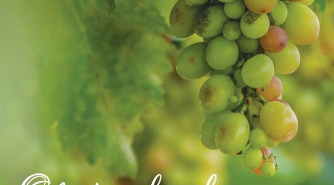 ziua crucii carstovul viilor muzeul satului