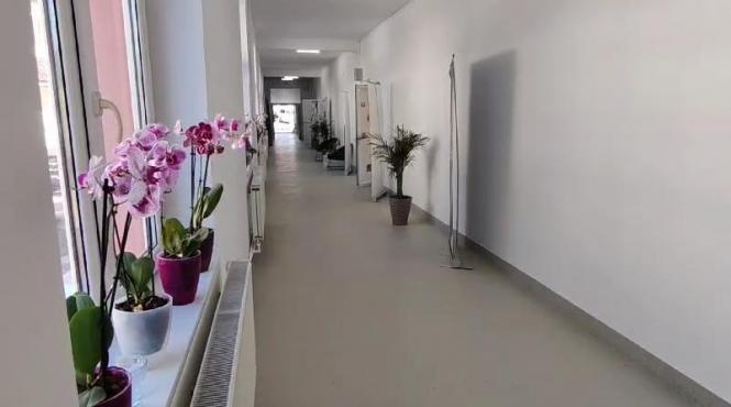 ministrul educatiei ligia deca vizita scoala slobozia conachi inundatii