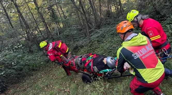 parapantist cazut agatat copac hunedoara