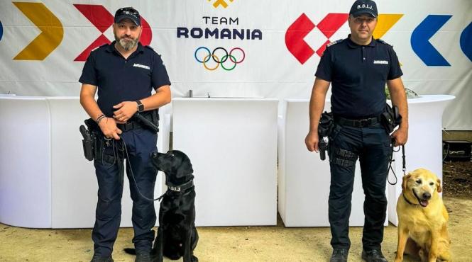 misiune inedita jo paris 2024 doi caini jandarmeria romana misiuni antiteroriste