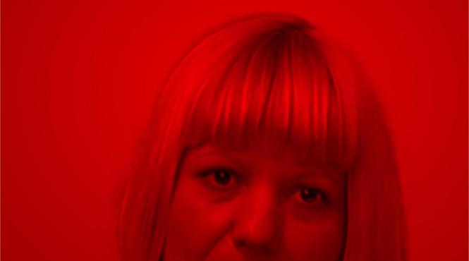 declaratiile defaimatoare camelia bogdan nou proces