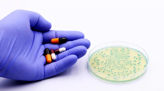 avertisment oameni stiinta infectii fungice mortale pandemie