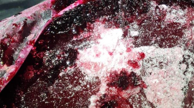 cocaina port captura fructe congelate