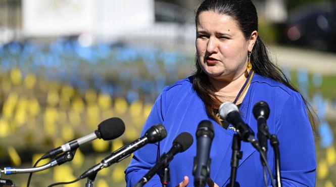 seful camerei reprezentantilor zelenski demitere ambasadoarea ucrainei sua