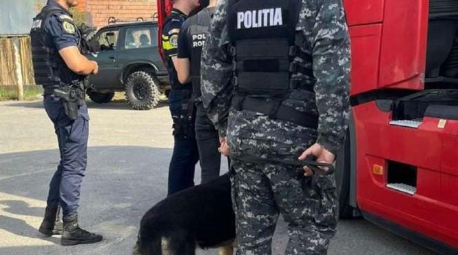 actiuni forte marite politisti harghiteni amenzi