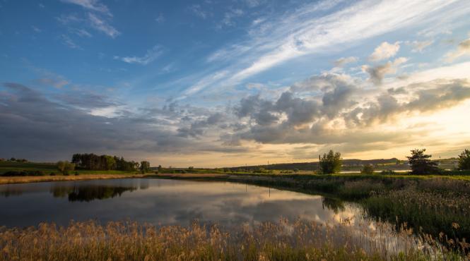 ce poti face intr o excursie de o zi in delta dunarii