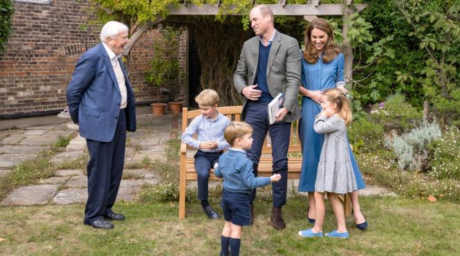 5 reguli copii famila print william