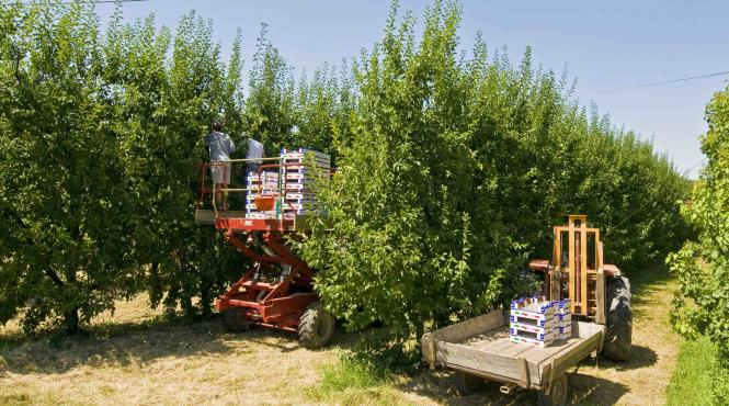 program prima investitie romani afacere