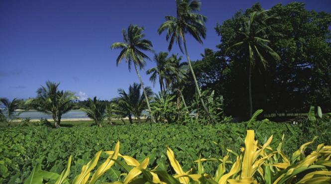 cea mai sigura tara lume razboi mondial