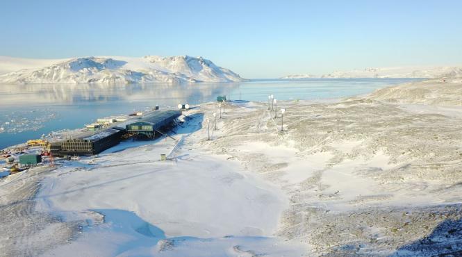 fenomen ingrijorator antartica extinde vegetatia
