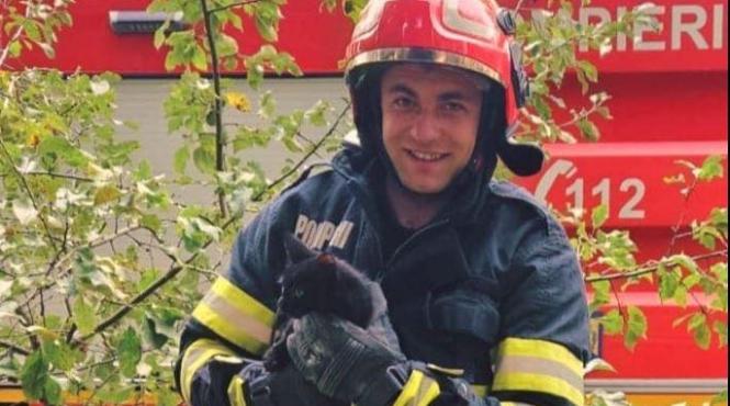 pisicuta neagra sansa viata fantana