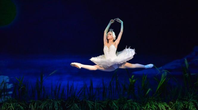 spectacole memorabile la opera romana din cluj in lunile noiembrie si decembrie